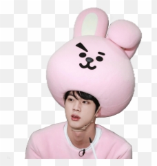 Rj Bts Bt21 Jin Cooky Freetoedit - Bts Dressed As Bt21 Png,Bt21 Png