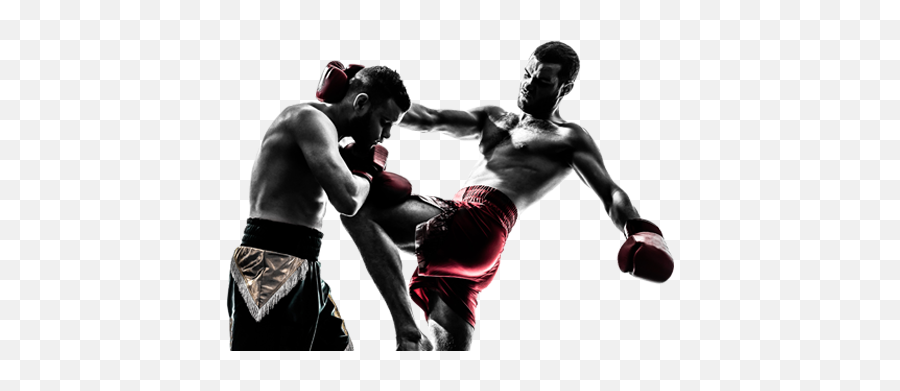 Mixed Martial Arts Fight Png Free Download - Boxing Silhouette,Martial Arts Png