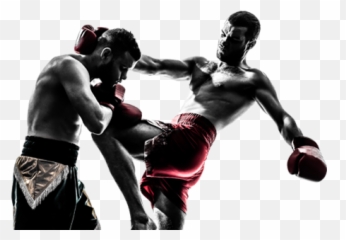 Mixed Martial Arts Fight Png Free Download - Boxing Silhouette,Martial Arts Png