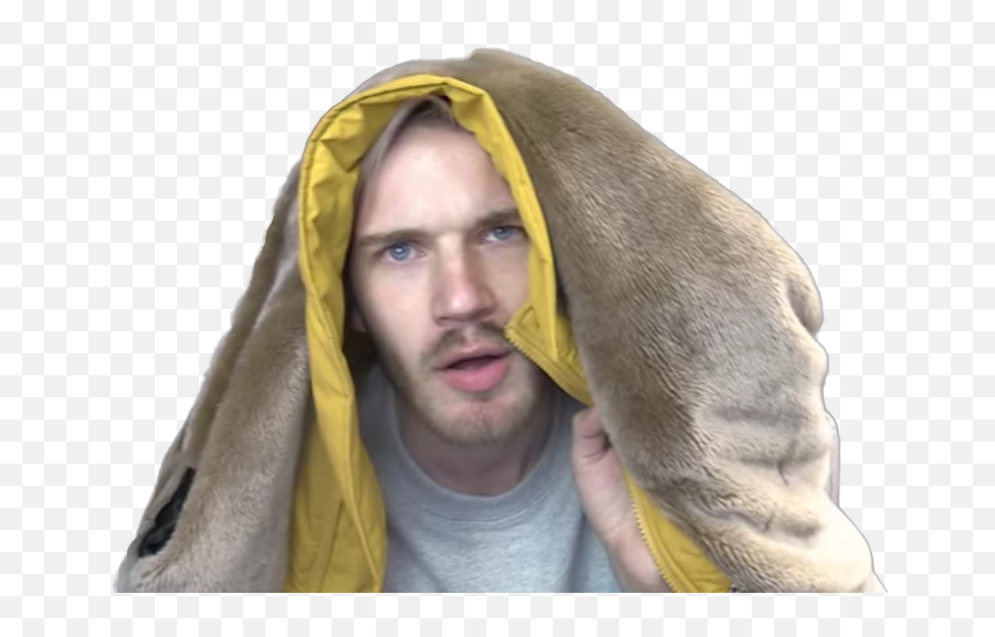 Pewdiepie Face Png - View Samegoogleiqdbsaucenao Pewdiepieu0027s Bird,Pewdiepie Png