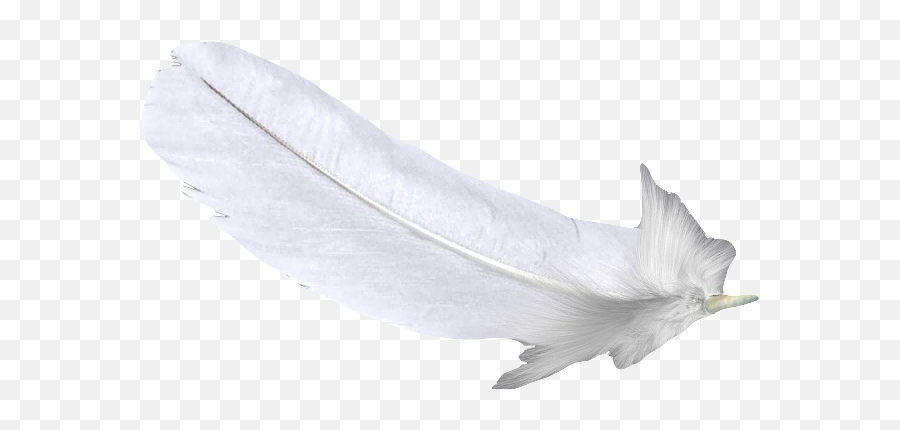 Download Feather White U767du8272u7fbdu6bdb Free Hq Image - Bird Png,Feather Silhouette Png