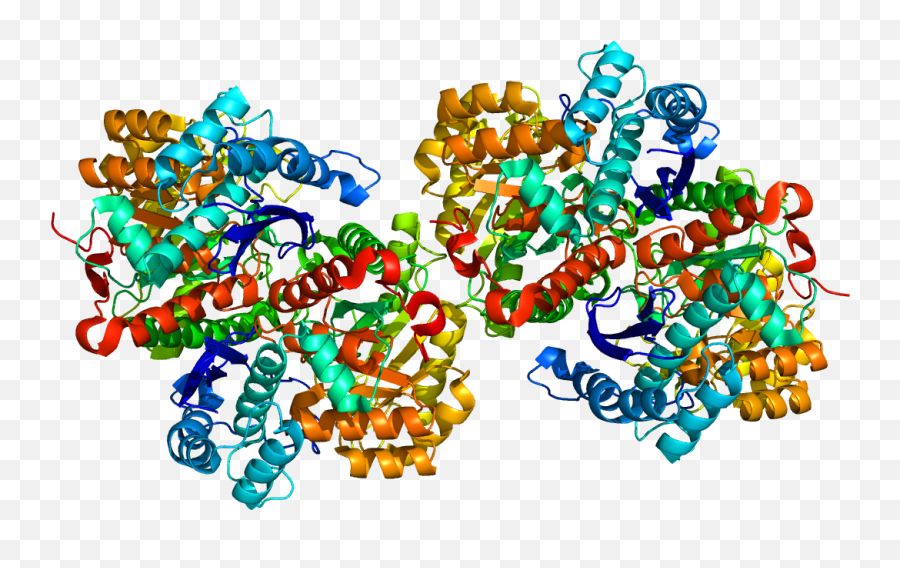 Fileprotein Eno1 Pdb 2psnpng - Wikipedia Alpha Enolase,Psn Png