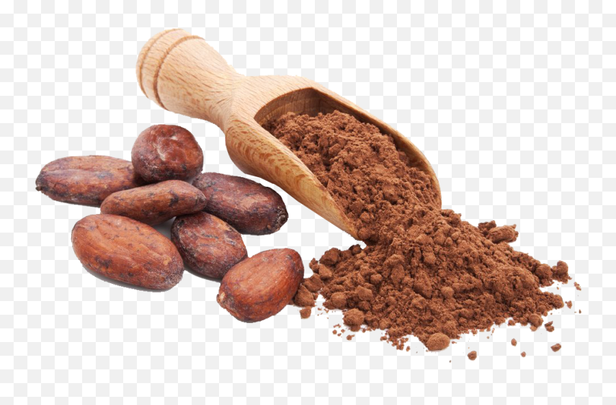 Cacao Png Images - Cacao Png,Cacao Png