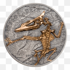 Between Jurassic Park And Nationu0027s Icon Depicting - Evolution png
