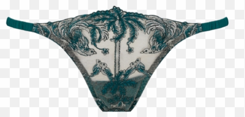 Lovers Palm Thong - Briefs Png,Thong Png