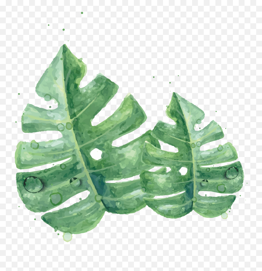 Watercolor Green Skin Painting Clipart - Clipart Watercolor Green Leaf Png,Green Watercolor Png
