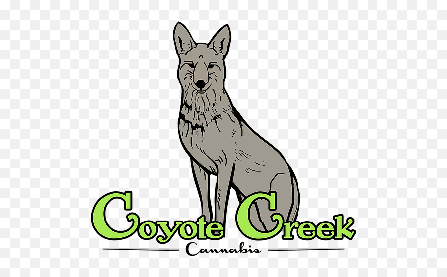 Home - Czechoslovakian Wolfdog Png,Coyote Png
