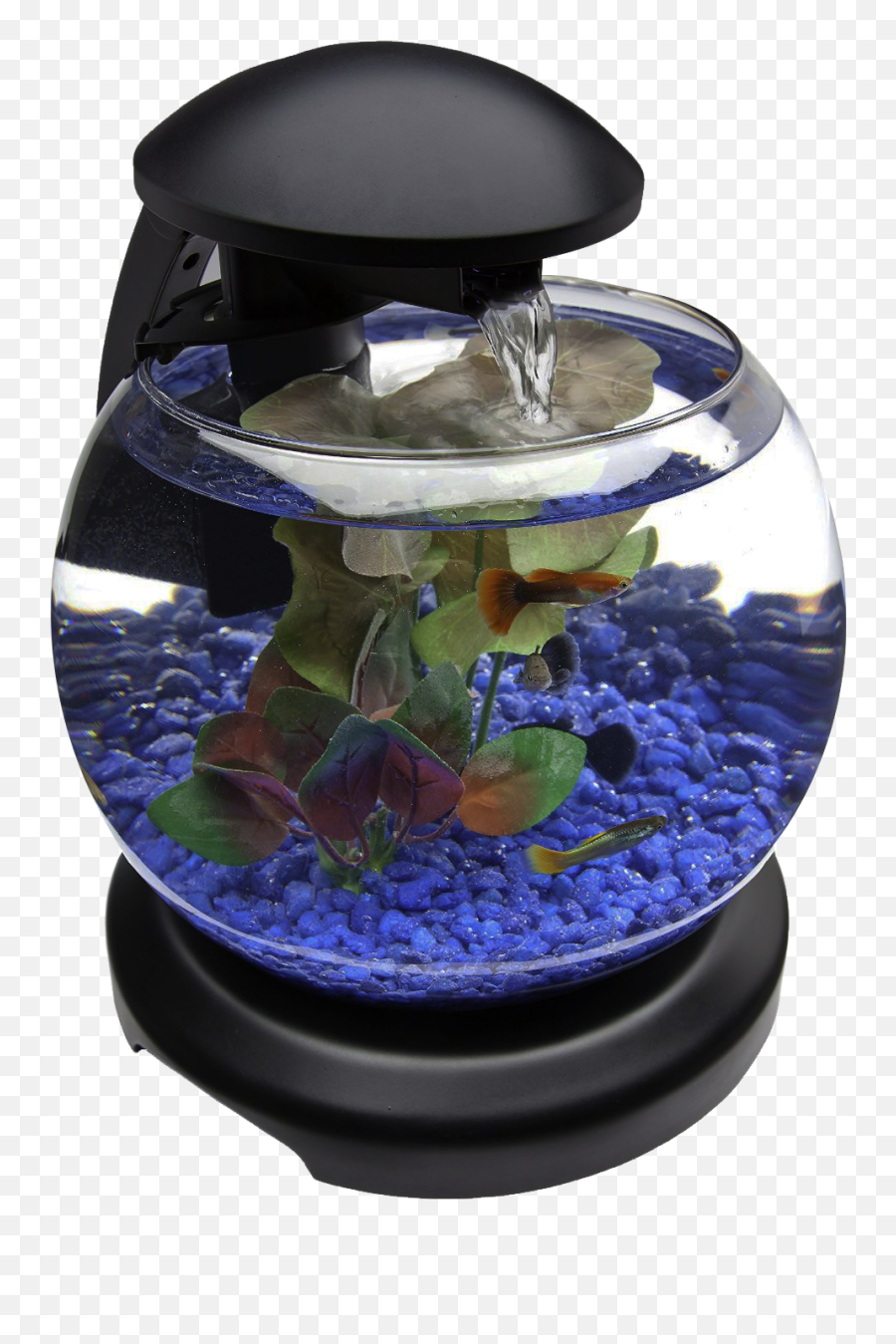 Glob Aquarium Fish Tank Png Transparent - Aquarium Design,Aquarium Png