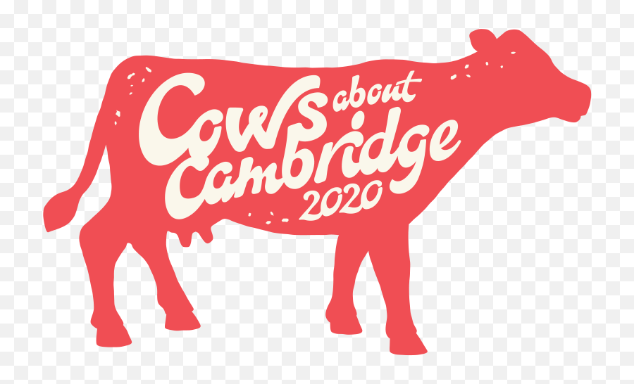 Cows About Cambridge U2014 Bid - Livestock Png,Cows Png