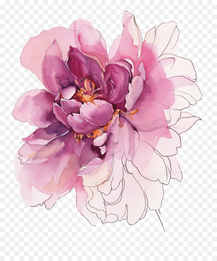 Temporary Tattoos Buy - Watercolor Peony Color Png,Peony Transparent