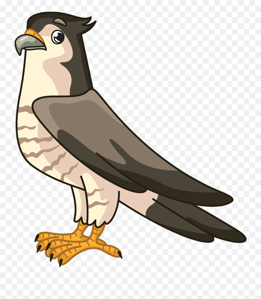 Clipart - Falcon Clipart Png,Falcon Transparent