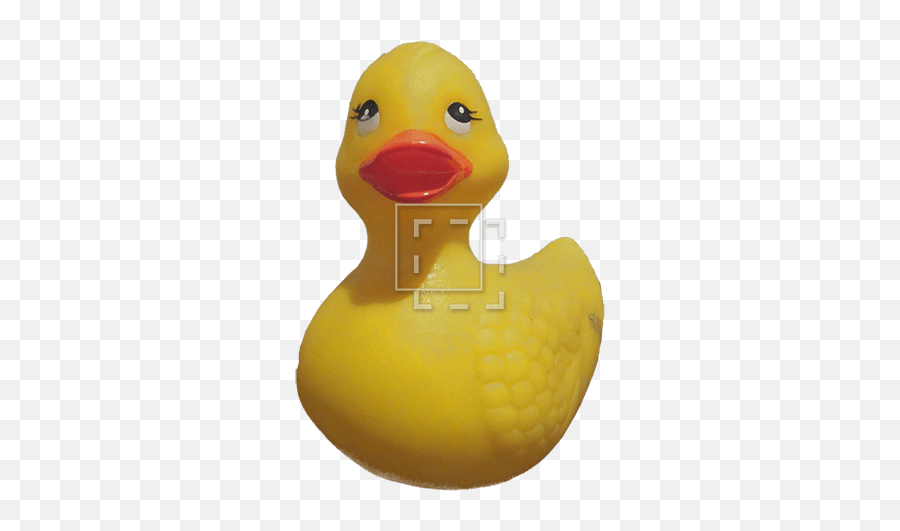 Rubber Ducky - Soft Png,Rubber Ducky Png