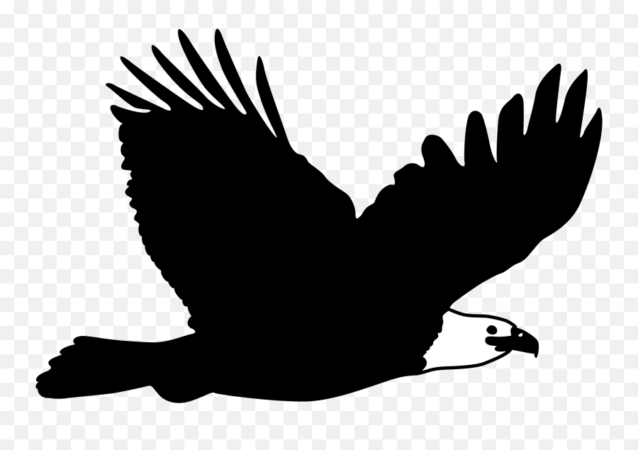 Download Bald Eagle Flight Bird - Bald Eagle Png,Eagle Flying Png