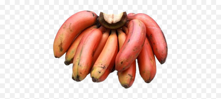 Red Banana - Red Banana Images Hd Png,Banana Png