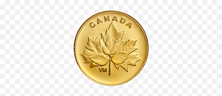05 G Pure Gold Coin - Bouquet Of Maple Leaves Mintage Gram Gold Coin Png,Canadian Leaf Png