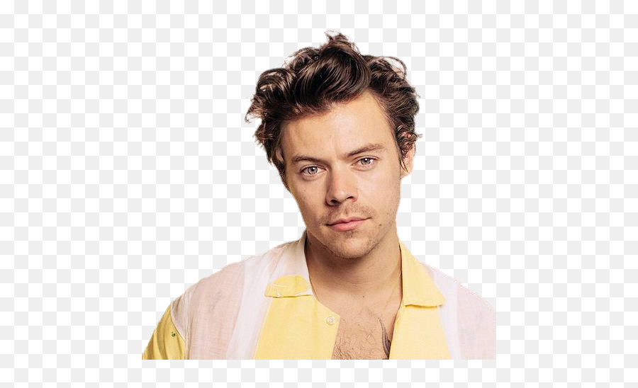 Harry Styles Png Images - Harry Styles Png 2020,Harry Styles Png