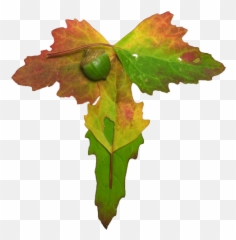 Thankful U2014 Tender Human - Plant Pathology Png,Thankful Png