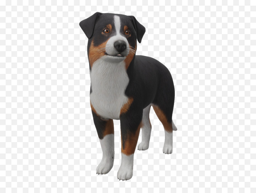 Google 3d Animals U0026 Ar Objects Full List Gallery - Collar Png,Australian Shepherd Icon