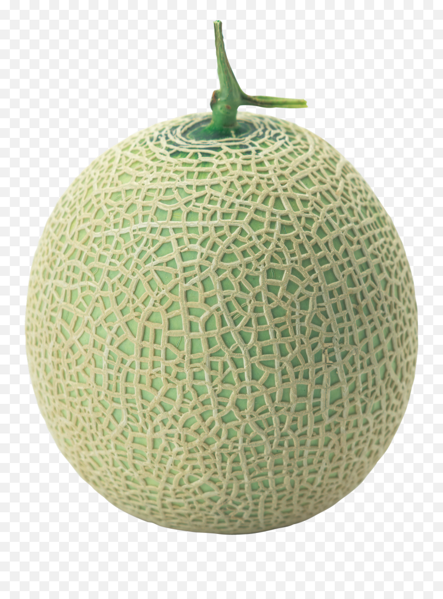 Melon Icon Clipart - Melon Png,Cantaloupe Png
