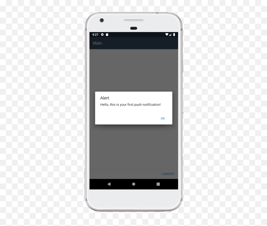 Enable Push Notifications In The Mdk Public Store Client - Error Handling Android Png,Show Notification On App Icon Android
