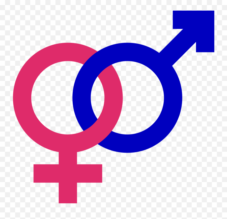 Fileheterosym - Pinkblue2svg Wikimedia Commons Sex Dating Logo Png,Work Ethic Icon