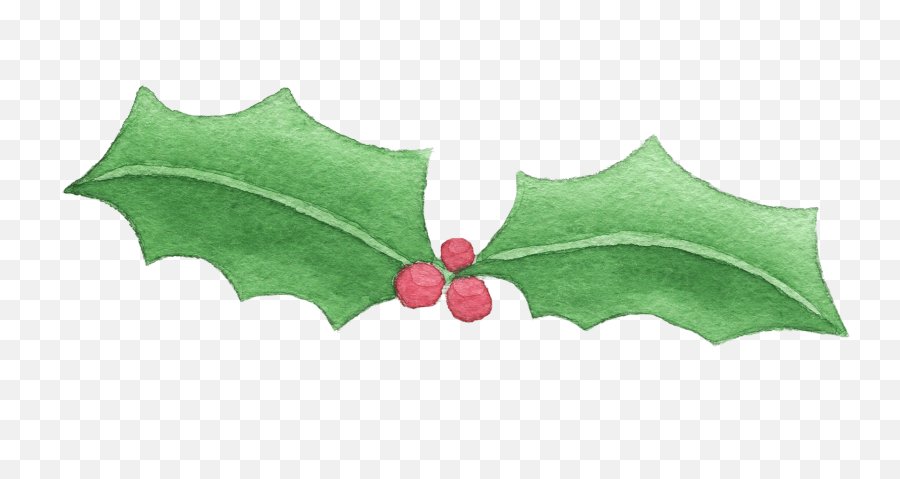 Download Holly Png Image With No Background - Pngkeycom Watercolor Holly Png,Holly Png
