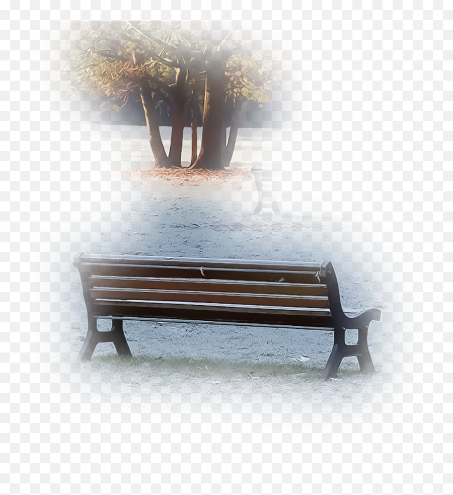 Download Tree Park Bench Garden Field Nature Foreground - Bench Png,Park Bench Png