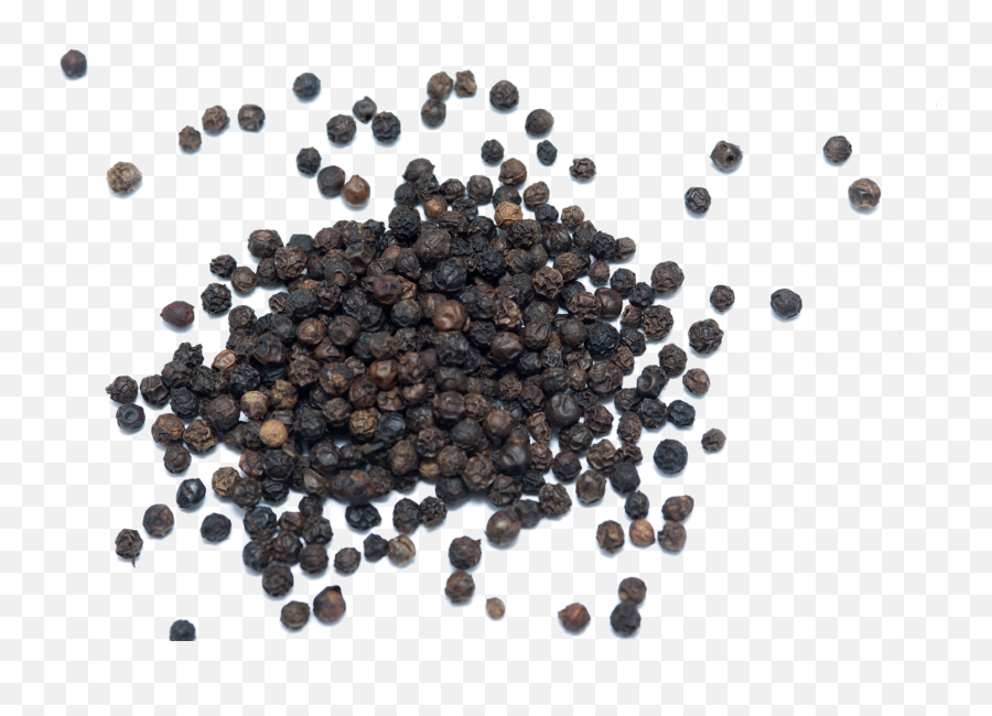 Black Pepper Transparent Image Png Arts - Black Pepper Black And White,Pepper Png