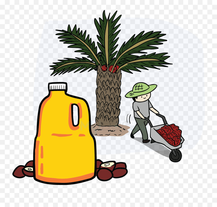 Download Hd Palm Oil Tree Png - Palm Oil Cartoon Clip Art Palm Oil,Cartoon Tree Png