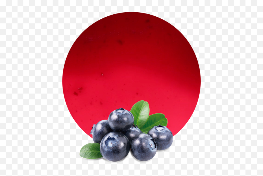 Blueberry Pomace - Manufacturer And Supplier Lemonconcentrate Blueberry Png Free,Blueberries Png
