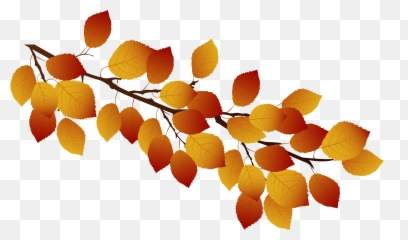 Branch Clipart Png