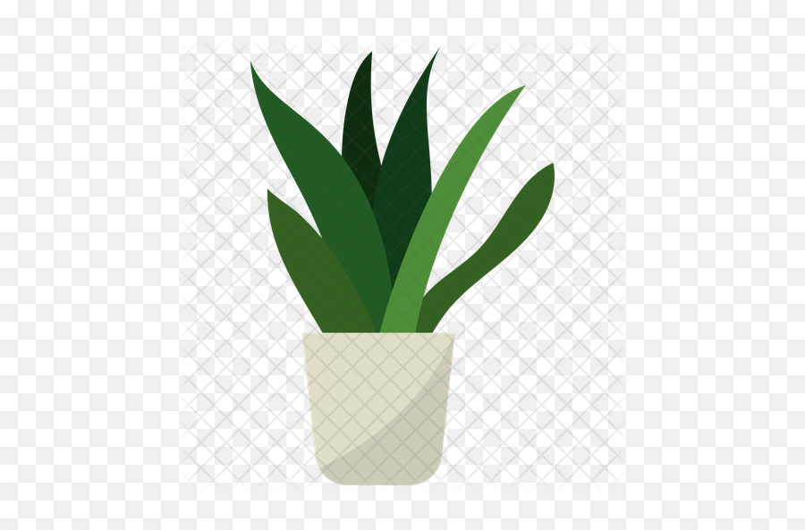 Snake Plant Vector Icon - Plant Vector Png,Green Plant Png