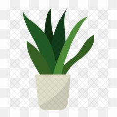 Snake Plant Vector Icon - png