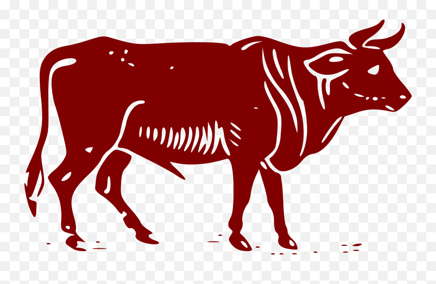 Big Image - Red Angus Cow Cartoon Png,Bull Png