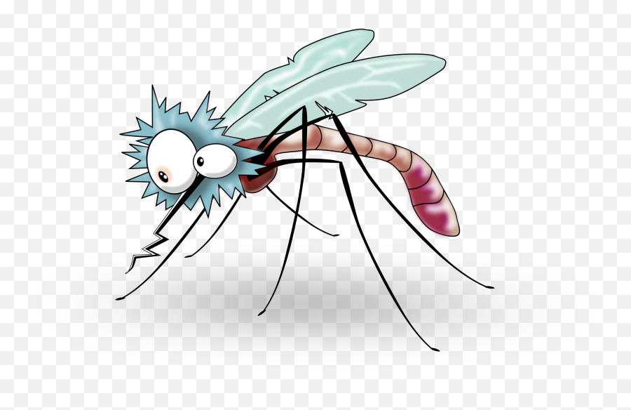 Flies Clipart Mosquito Transparent Free For - Transparent Background Mosquito Clipart Png,Fly Png