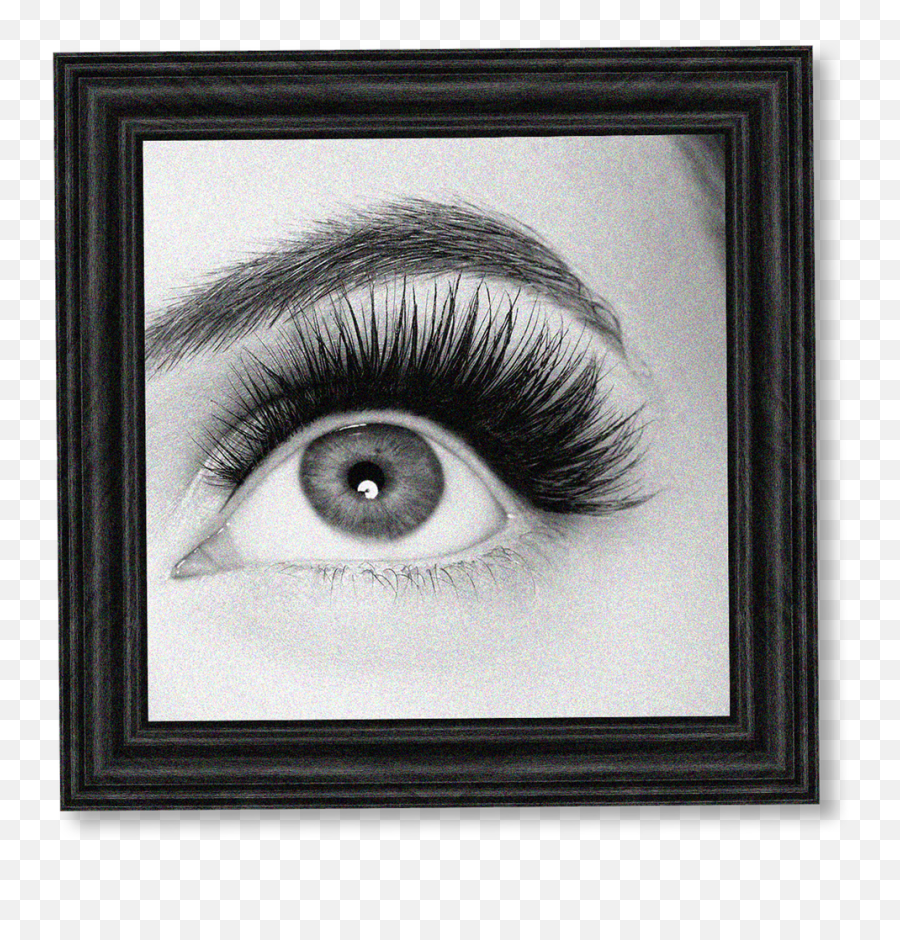 Lashes Treatments In Tewkesbury - Grace And Beauty Eyelash Png,Eye Lashes Png