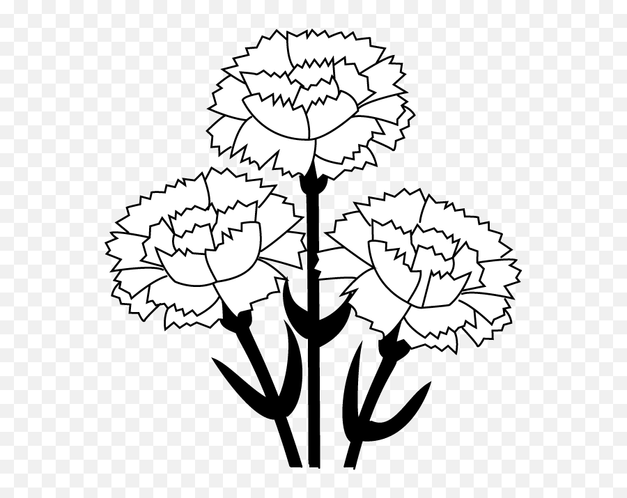 Free Carnation Cliparts Download Clip Art - Carnation Clipart Black And White Png,Carnation Png