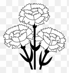 Free Carnation Cliparts Download Clip Art - Carnation Clipart Black And White Png,Carnation Png