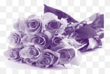 High Quality Download Mothers Day Png Transparent Background - Flowers
