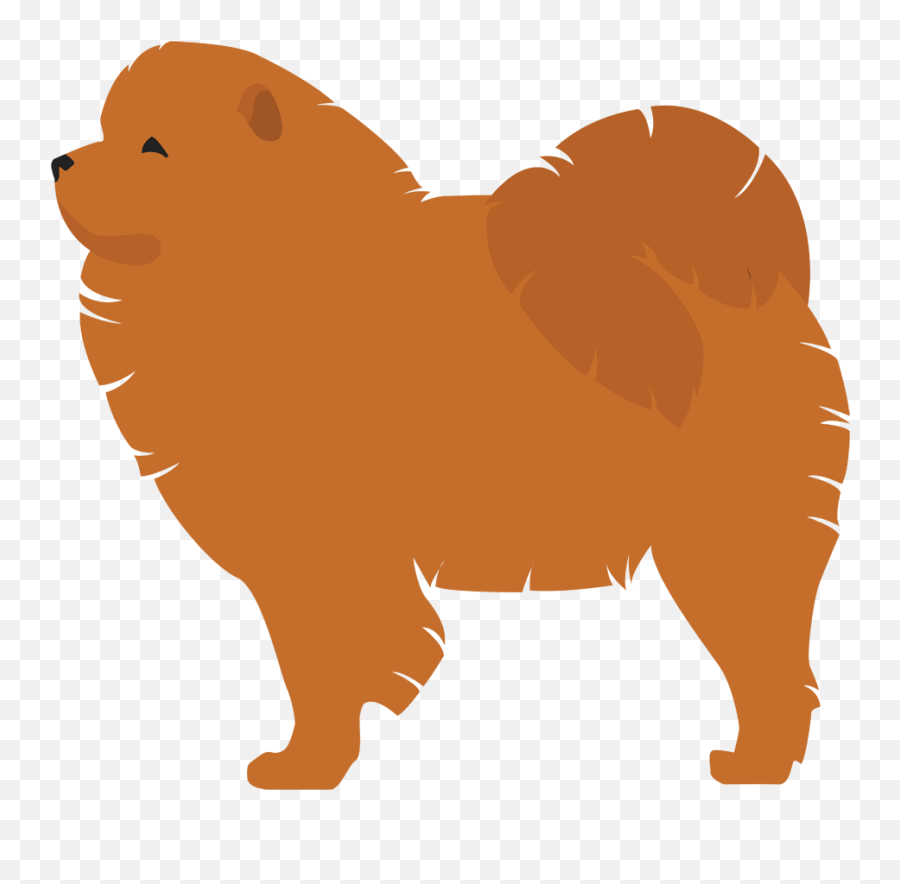 Pomeranian Finnish Spitz Dog Breed - Clip Part Chow Chow Png,Pomeranian Png