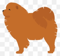 Pomeranian Finnish Spitz Dog Breed - Clip Part Chow Chow Png,Pomeranian Png