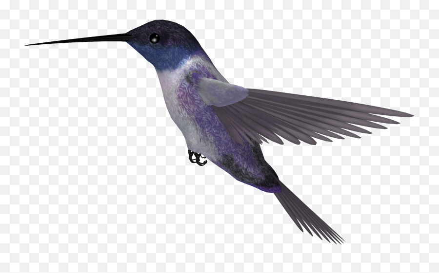 Hummingbird Transparent Png - Humming Bird Png,Hummingbird Png