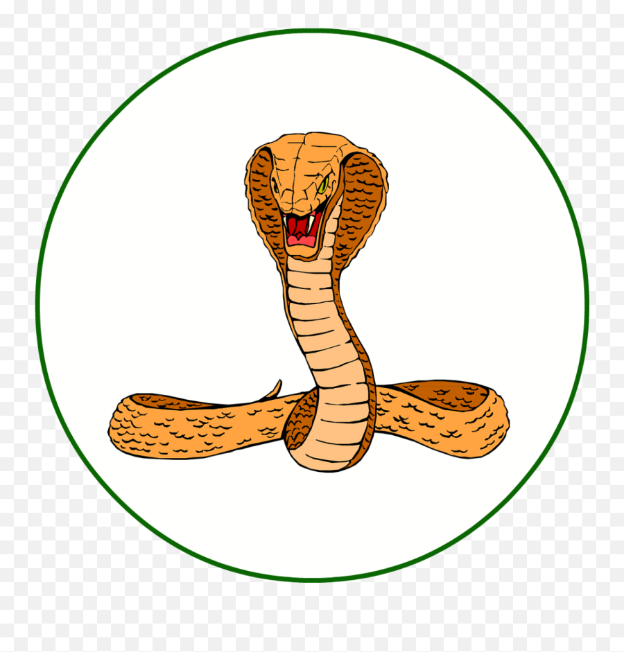 Index Of Wp - Contentuploads201901 Boxcar Png,Cartoon Snake Png