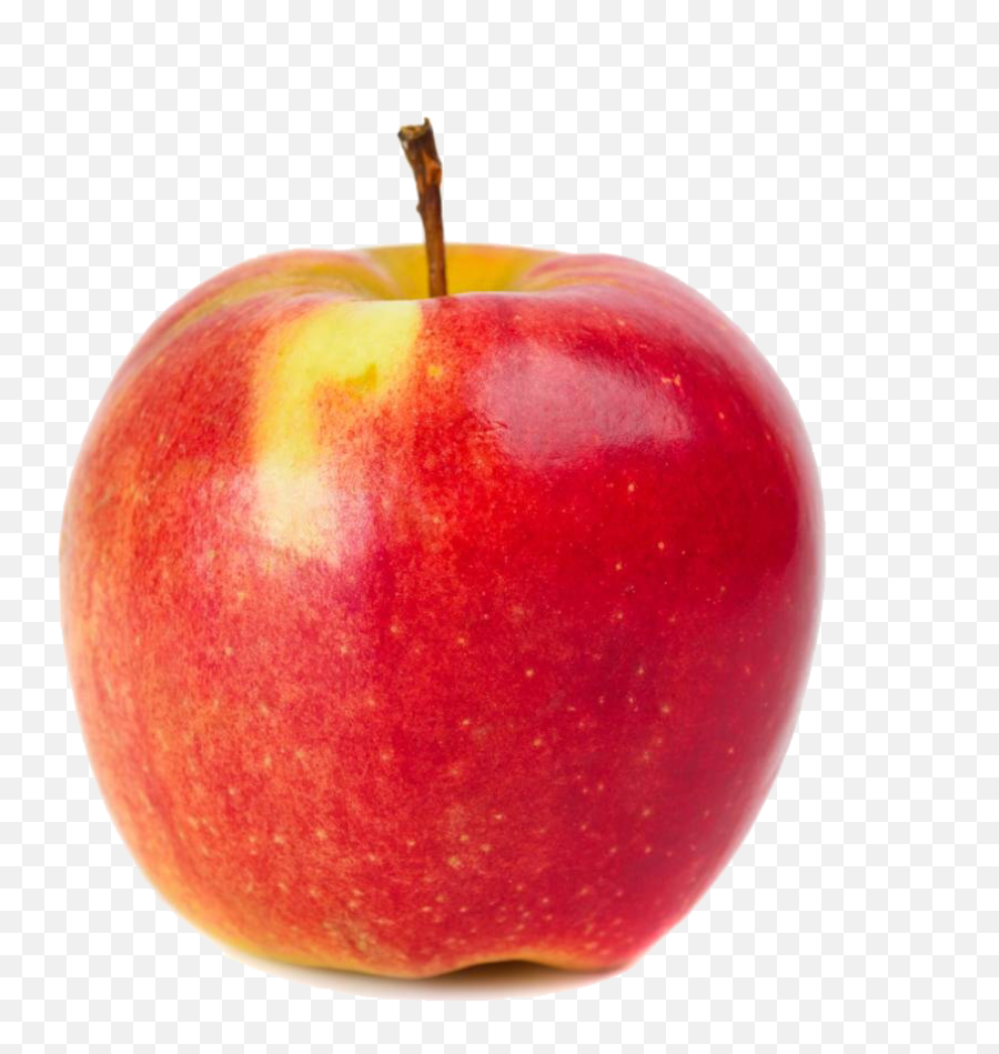 Apple Photography Red - Red Apple Png Download 1000980,Red Apple Png