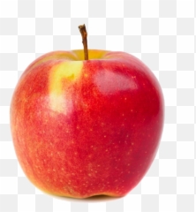 Apple Photography Red - Red Apple Png Download 1000980,Red Apple Png