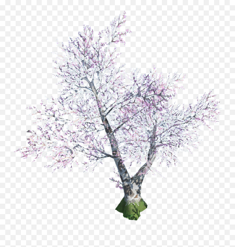 Cherry Blossom - The Runescape Wiki Canoe Birch Png,Cherry Blossom Branch Png