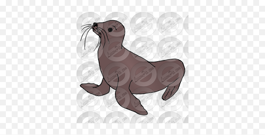 Sea Lion Picture For Classroom - Steller Sea Lion Png,Sea Lion Png