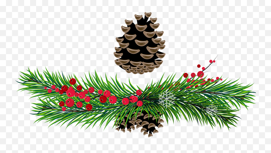 Library Of Pine Tree Branch Jpg Black - Rustic Christmas Holly Clipart Png,Pine Branch Png
