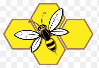Bee Hive Clipart Transparent Background - Novocomtop Fly png