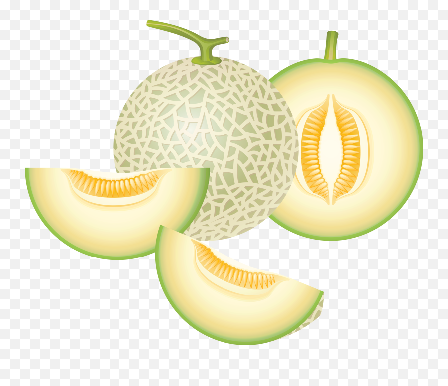 Download Cantaloupe Png Image With - Honeydew Melon Clipart Png,Cantaloupe Png